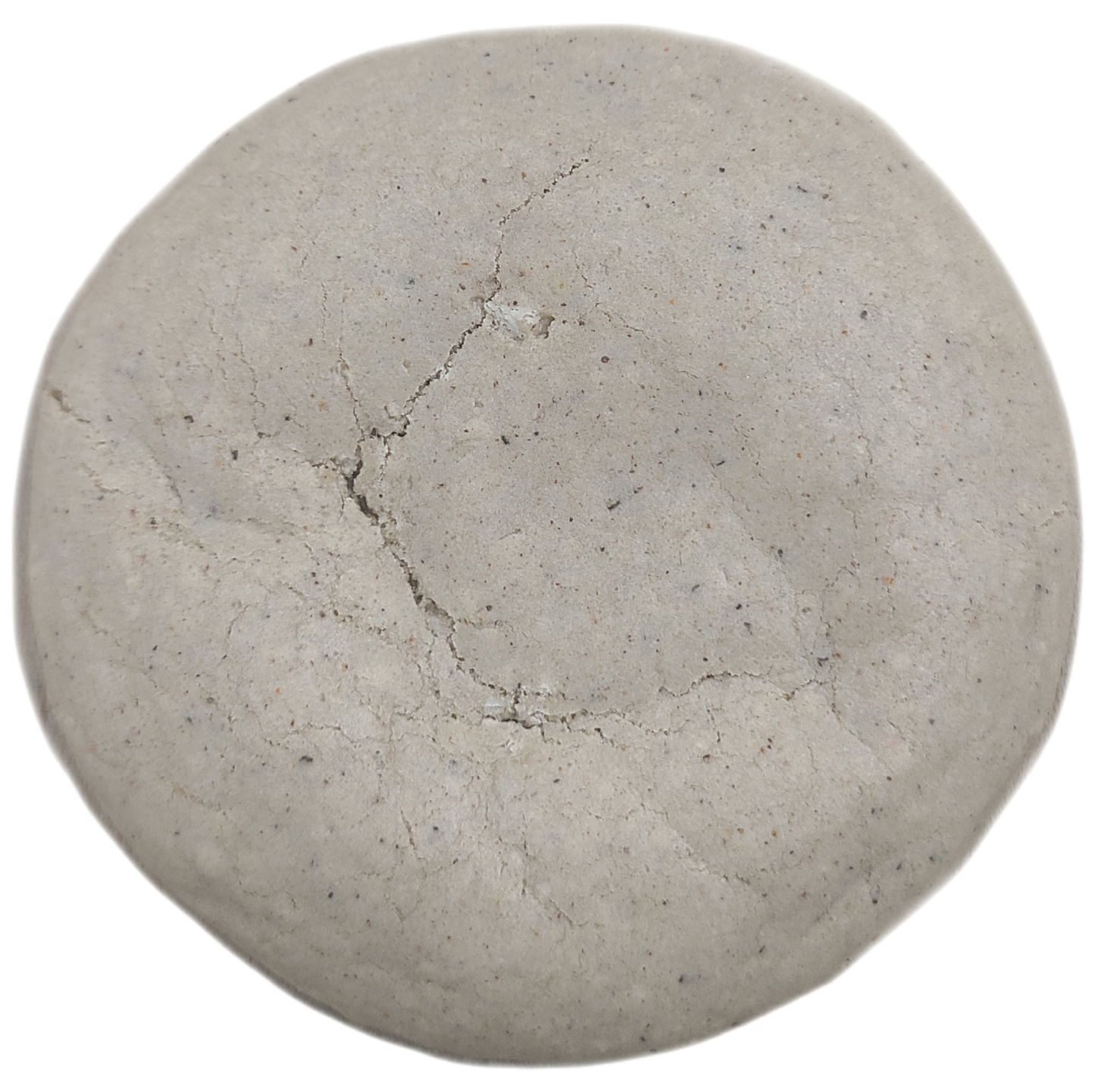 Blueberry Latte Box of 24