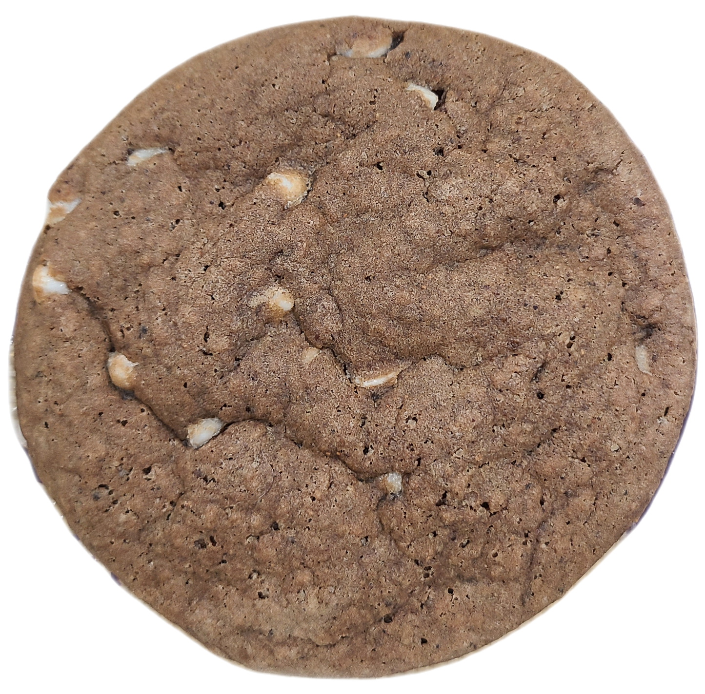 Gingerbread Mocha 12 Pack