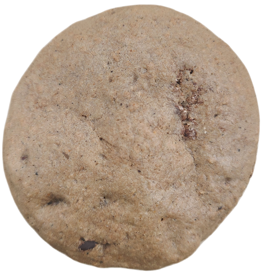 Box of 24 Packaged Mint Mocha Cookies